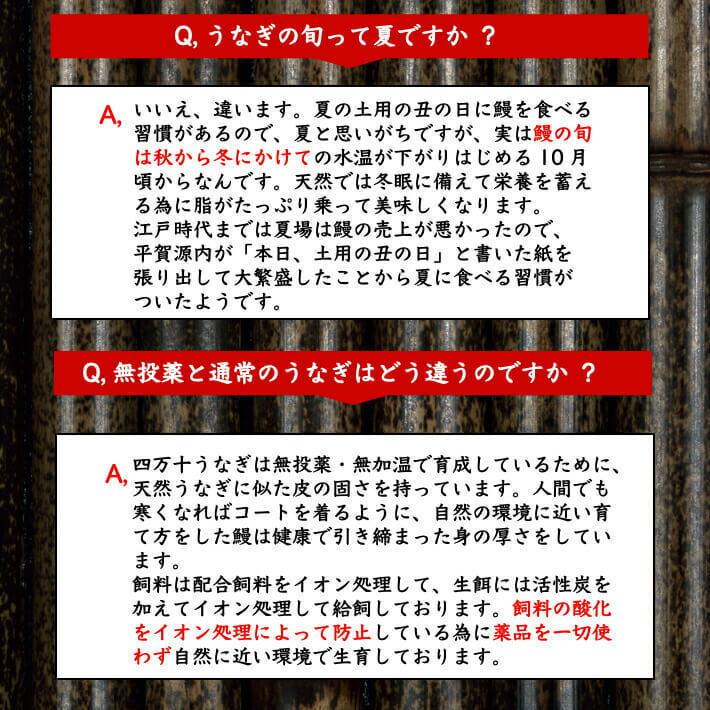 高知県産 うなぎ 蒲焼き 四万十川 仁淀川 食べ比べ 無投薬 国産  各1本  ギフト 贈答