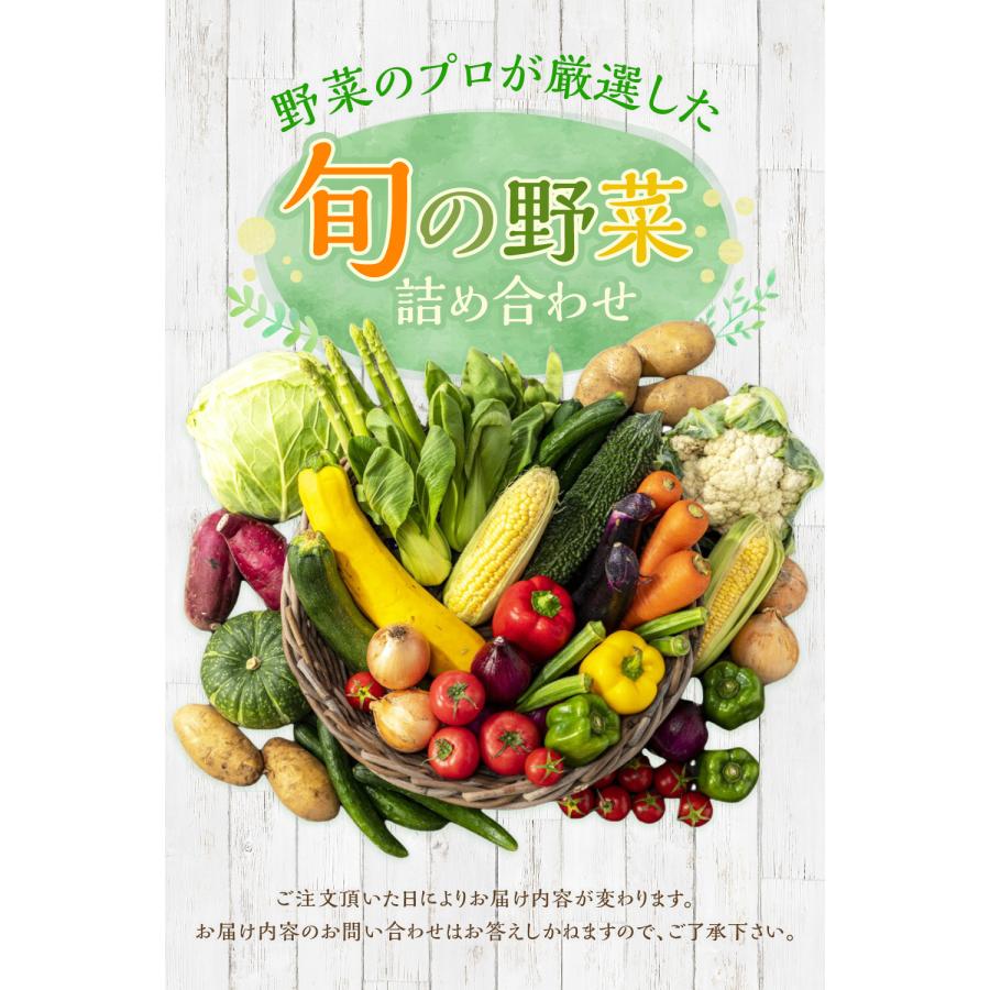 宮崎県産 佐土原なす なす ナス 佐土原ナス 奇跡のナス 茄子 なすび 4袋 国産 野菜 送料無料(一部地域除く)】野菜