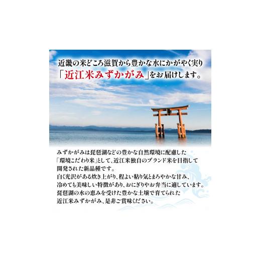 ふるさと納税 滋賀県 竜王町 令和5年産 みずかがみ 10kg 全6回 近江米 新米 米粉 200g付