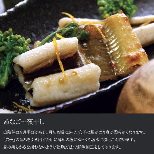 干物 詰め合わせ 送料無料 出雲産 干物 特大のどぐろ・あなご一夜干し詰合せ 海鮮 グルメ ギフト 贈り物 のどぐろ あなご セット 送料無料 お取り寄せ お歳暮