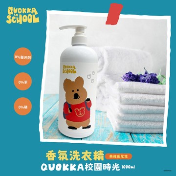 DINOTAENG 鳶尾香洗衣精1000ml-12瓶_廠商直送