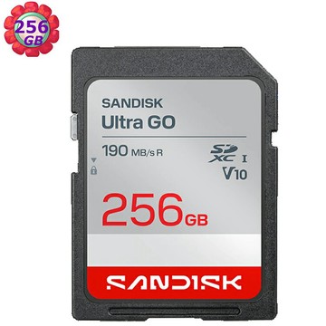 SanDisk 256G 256GB SD Ultra Go 190MB/s V10 SDSDUGN-256G - 記憶卡