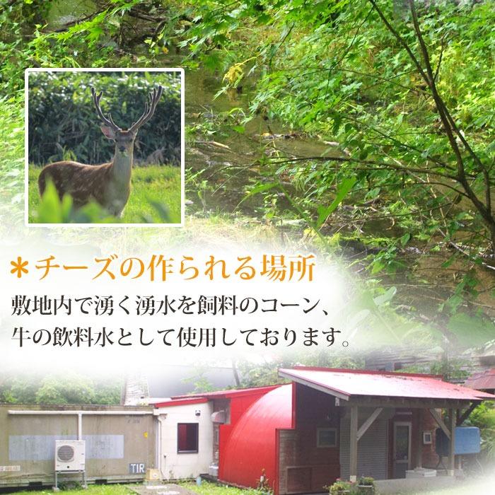 ASUKAのチーズ工房 カチョカバロ チーズフォンデュ セット 北海道 チーズ とろけるチーズ 詰め合わせ ギフト 無添加