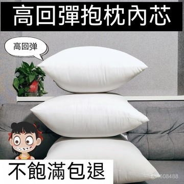 ❄️好物精選丨枕心 抱枕心 抱枕 枕頭 多種尺寸 水洗 枕芯 可客製尺寸 枕心 抱枕心 抱枕 枕頭 ZEM5