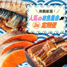 魚鶴厳選！人気のお魚集合定期便（さば・銀鮭・うなぎ）