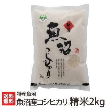 魚沼産 コシヒカリ 精米 2kg 特産魚沼 送料無料