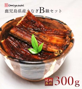 うなぎ 300gセット(2～3尾) 国産 訳あり B級品 丑の日 ギフト 内祝 鹿児島県産 国産B級品 お取り寄せ 蒲焼き 丑の日 鹿児島鰻 送料無料