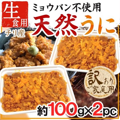 ”天然うに” 約100g×《2pc》 チリ産 生食用 ブランチ製法 ミョウバン不使用 送料無料