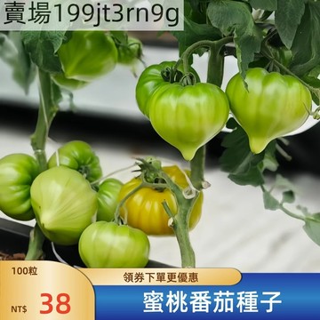 現貨🍅【蜜桃番茄種子】（100粒） 大西紅柿種子 超甜 皮薄 多汁 多年生聖女果種籽 四季播種農田盆栽 高產水果蔬菜種子