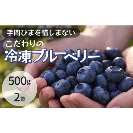 ふるさと納税 冷凍こだわりブルーベリー　500g×2 千葉県千葉市