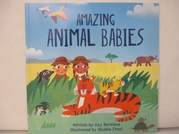 【書寶二手書T6／少年童書_UMN】Amazing Animal Babies