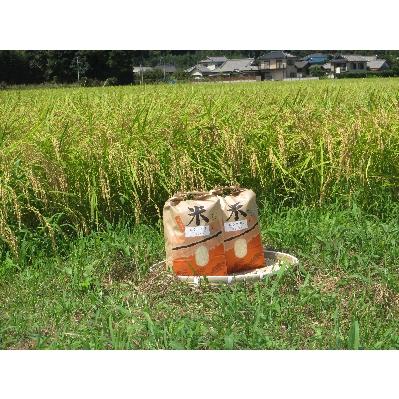 ふるさと納税 行方市 令和5年産　コシヒカリ玄米10kg(5kg入×2袋)