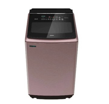 【SAMPO 聲寶】ES-P19DA(R2) 19公斤 變頻智慧洗劑添加洗衣機-玫瑰金