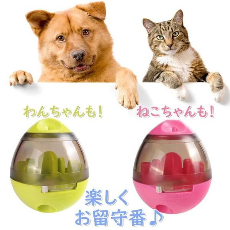 子犬 留守番 おもちゃ オファー