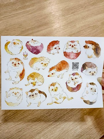 森林動物防水貼紙(刺蝟/天竺鼠/兔子/龍貓+蜜袋鼯/麻雀)