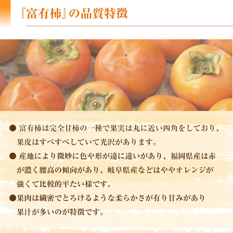 [予約 2023年11月1日-11月30日の納品] 富有柿 ふゆうがき  2kg 4L 5L  大玉 化粧箱 山梨県 石和町 甘柿