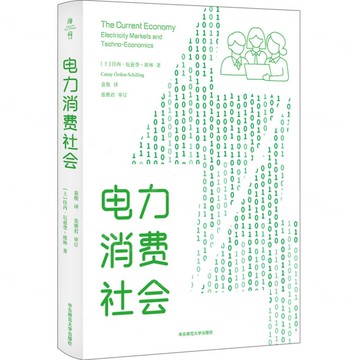 電力消費社會丨天龍圖書簡體字專賣店丨9787576047134 (tl2516)