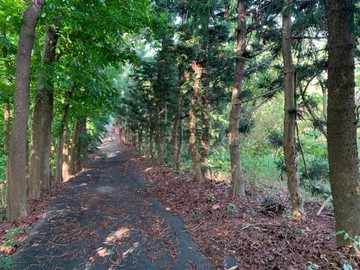 大樹區-義大世界旁9.84分農牧用地｜高雄市大樹區興和段