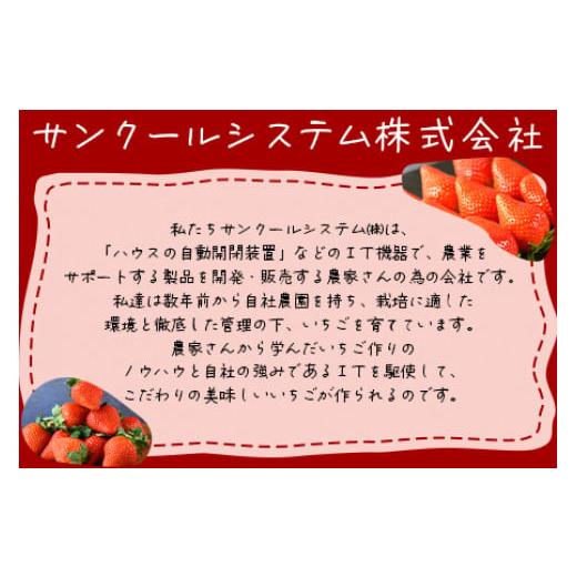 ふるさと納税 宮崎県 国富町 予約受付！＜高級いちご「おおきみ」 （15粒入り×2パック 合計約760g以上）＞2024年1月下旬〜4月末迄に順次出荷