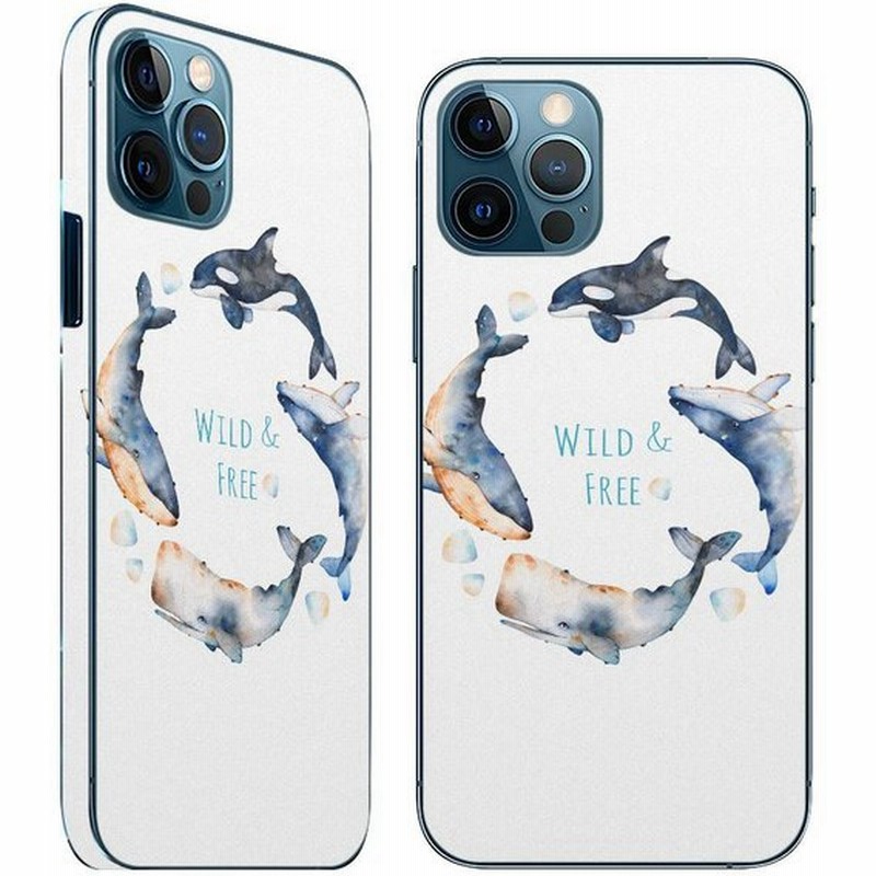 Iphone12 対応 アイフォン 全面スキンシール フル 背面 側面 正面 液晶 スマホケース ステッカー スマホカバー ケース くじら 海 英語 通販 Lineポイント最大0 5 Get Lineショッピング