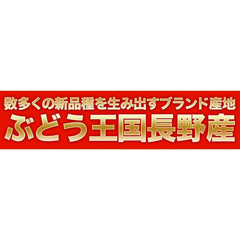 『シャインマスカット』長野県産 2房 計約800g ※常温 送料無料