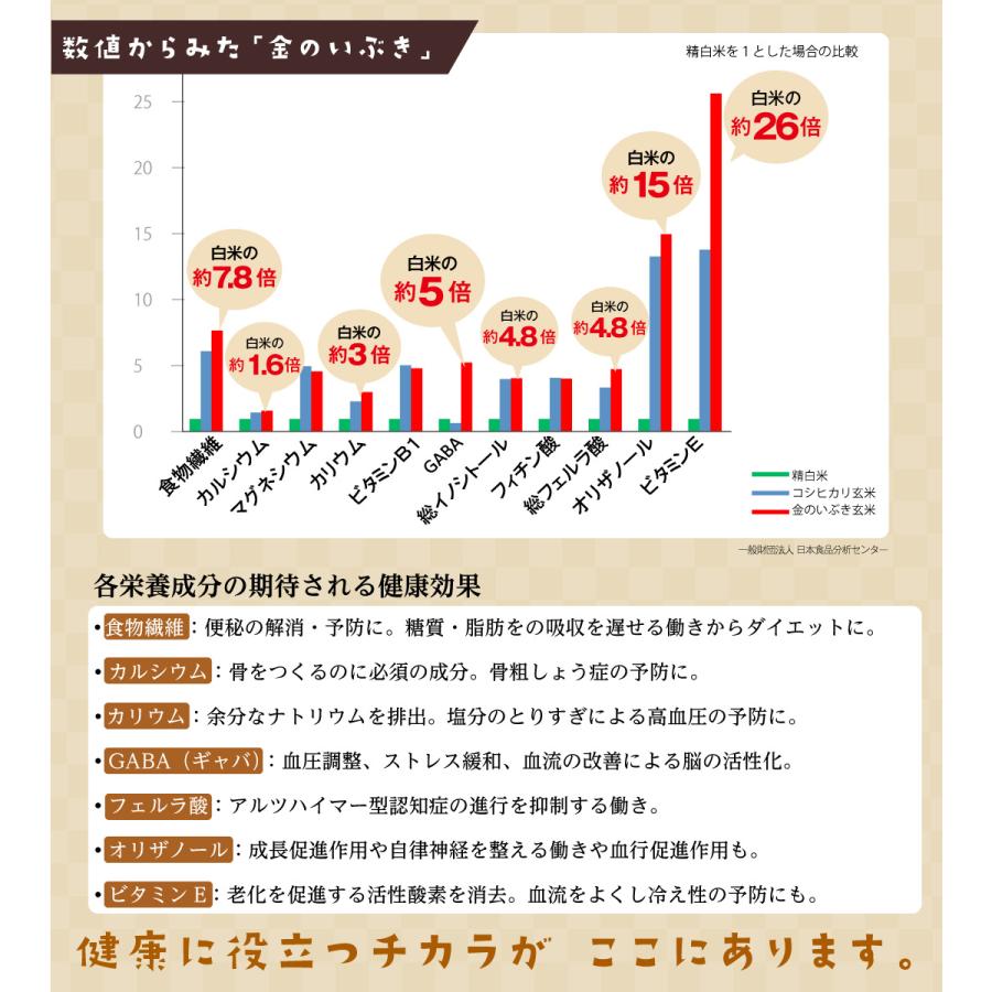 玄米 2kgと玄米ご飯パック 12個 (120g×12) 詰め合わせセット 宮城県産 金のいぶきお米 おくさま印 栄養 健康 レンジで簡単 温めるだけ レトルト 送料無料