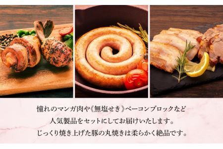 樽前ハム詰合せ ベーコンブロック200g 豚の丸焼き 200g 骨付きボンバー 200g 骨付きボンバーミニ 100g ぐるぐるウインナー 100g×2パック 北海道 苫小牧