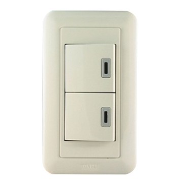 雅白大型夜光雙開關組