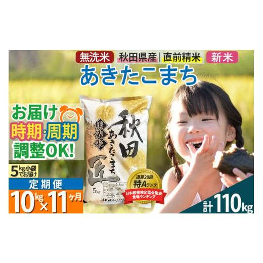 ふるさと納税 秋田県 仙北市 ＜新米＞《定期便11ヶ月》秋田県産 あきたこまち 10kg (5kg×2袋) ×11回 令和5年産 発送時期が選べる 周期調整OK 隔月…