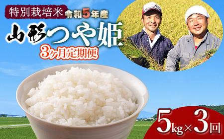 令和5年産 新米 特別栽培米 山形つや姫 定期便 精米5kg×3ヶ月 鶴岡ファーマーズ