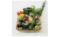 三重県いなべ市の農産物直売所「ふれあいの駅うりぼう」より「旬の新鮮野菜・果物セット」をお届けします!