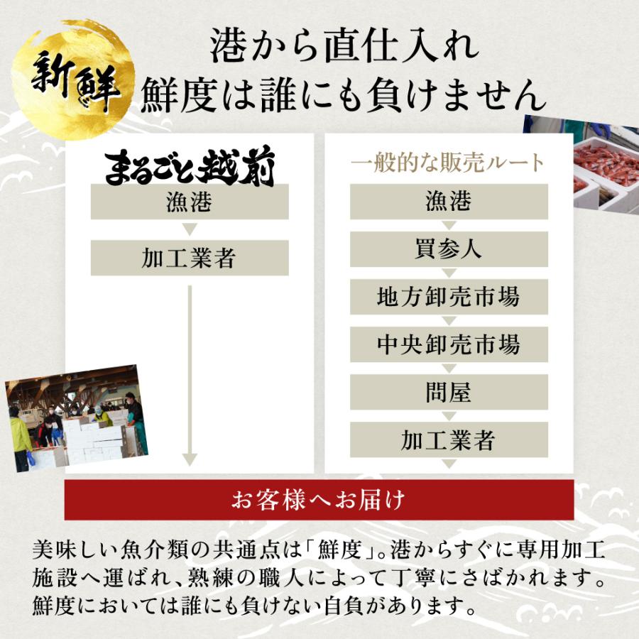 甘えび  甘海老 天然甘エビ 刺身 生食可 福井県産 純国産 無添加 冷凍甘エビ 1kg（500g×2箱） 送料無料 内祝い お歳暮 プレゼント ギフト