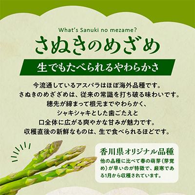 ふるさと納税 高松市 アスパラガス食べ比べ(紫500gとさぬきのめざめ500g)　約1kg