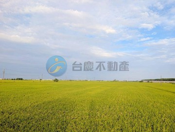 (專)嘉義溪口 黃金地段 大面積農地｜嘉義縣溪口鄉崙尾段美北小段