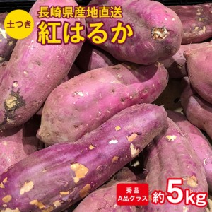 産地直送 長崎県産 長崎紅はるか 秀品 A品クラス 約5kg 送料無料 長崎県 長崎 さつまいも サツマイモ さつま芋 芋 焼き芋 紅はるか 甘い