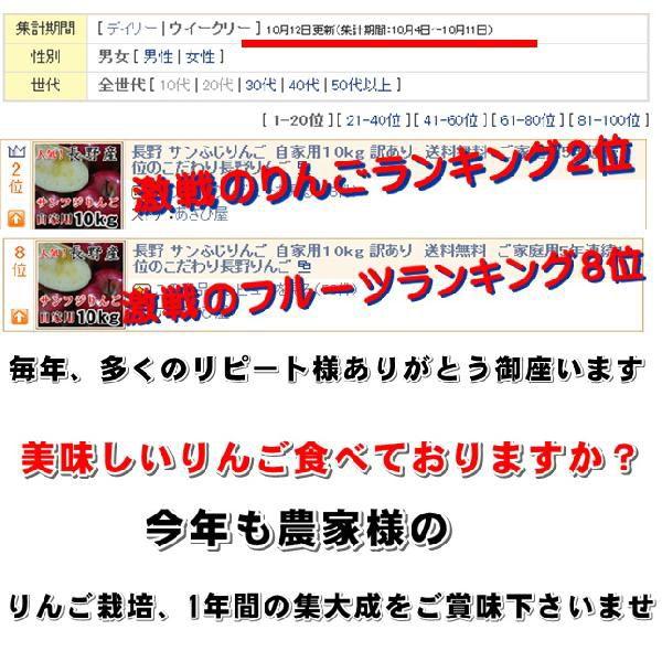 限定クーポンあり長野 サンふじりんご ギフトにも人気  秀品 信州産 5kg11玉〜18玉長野サンふじりんご　ギフトリンゴに　さんふじりんご お歳暮