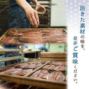 ふるさと納税 AD6007n_鮮魚問屋の 特選 干物セット (7種13枚) 和歌山県湯浅町