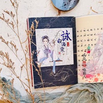 【紅樓夢斷-寶釵卷】透明亮面 PET 膠帶