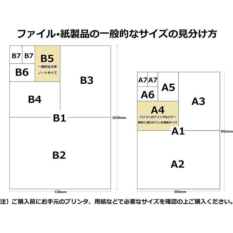 キングジム クリアーファイル カラーベース 差替式 B4S 黒