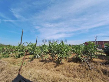 紘緯推薦燕巢都內市區生活機能好方正農地｜高雄市燕巢區燕北段