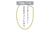 令和5年産　特別栽培米コシヒカリ　玄米10kg（5kg×2袋）