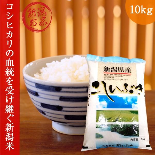 新潟 こしいぶき 10kg(5kg×2) 令和5年度 コシイブキ 新米 白米