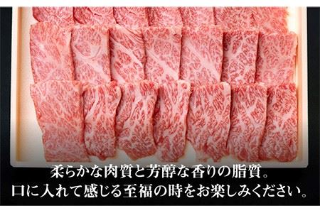 壱岐牛 肩ロース 焼肉用 500g 《壱岐市》[JBO031] お肉 牛肉 国産牛 焼肉 ロース 25000 25000円