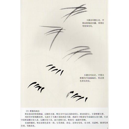 墨蝦　写意画法　中国絵画 墨#34430;　写意画法