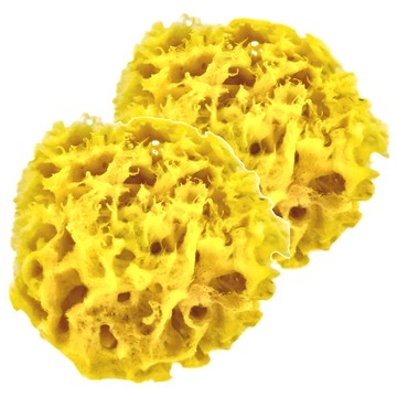 lilmon 希臘海綿 Set 2 尺寸約6.5~8cm  蜂巢型  2個