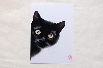 躲貓貓∣黑貓 貓咪明信片