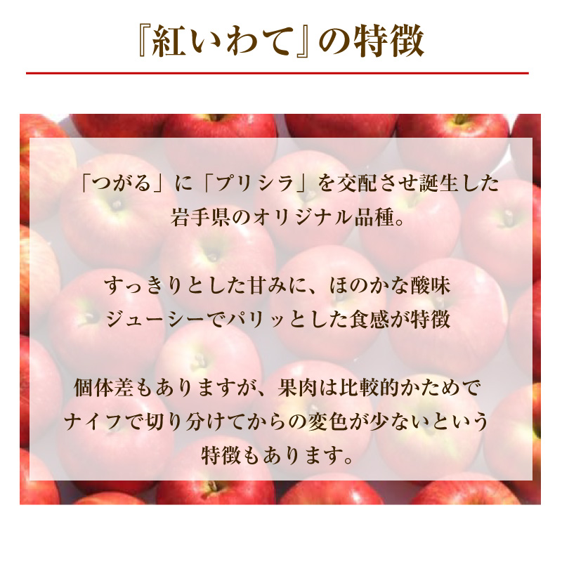 [最短順次発送]   紅いわて りんご 約 10kg 28-32玉 大玉 岩手県 秋ギフト リンゴ  産地箱