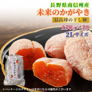 [予約 12月11日-12月20日の納品]  未来のかがやき 約150g × 10p L 2L 長野県産 冬ギフト お歳暮 御歳暮 原材料に「市田柿」や「庄内柿（