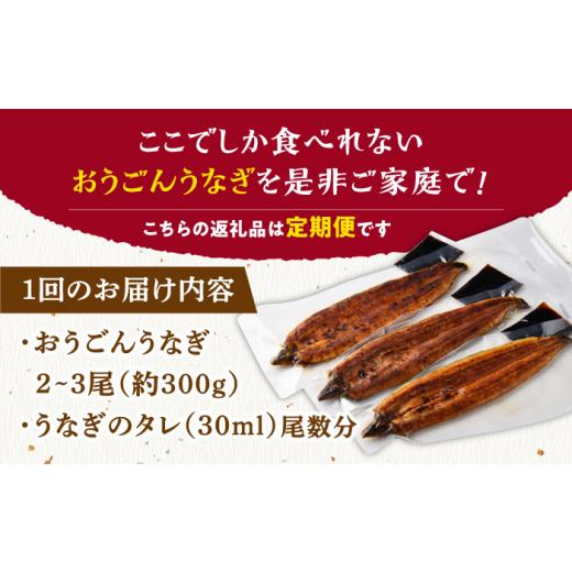 ふるさと納税 長崎県 平戸市 ＜全6回定期便＞長崎県産おうごん うなぎ 計1.8kg（約300g×6回）平戸市 ／ 松永水産 うなぎ 鰻 ウナギ 土…