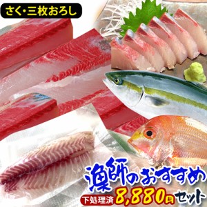 漁師おススメ 鮮魚 詰め合わせ セット 8880円 魚 柵 おまかせ 産地 直送 新鮮 三枚おろし 美味しい お刺身 さしみ さく 鮮魚